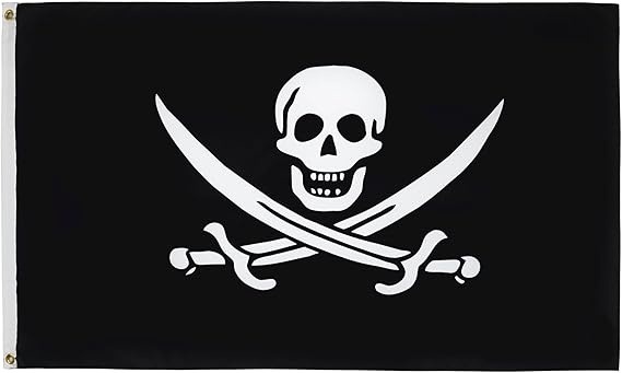 a pirate flag featuring a skull and crossed sabres
