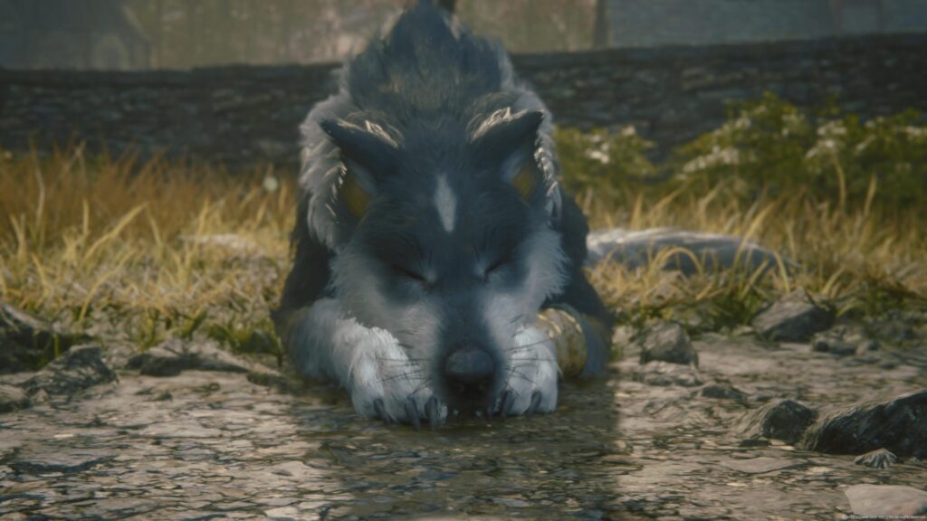 Screenshot of torgal from Final Fantasy sixteen