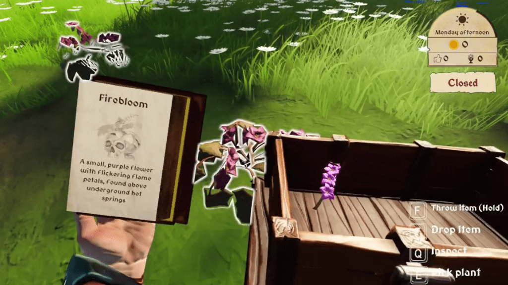 A description of firebloom. One of many ingredients in Potion Simulator