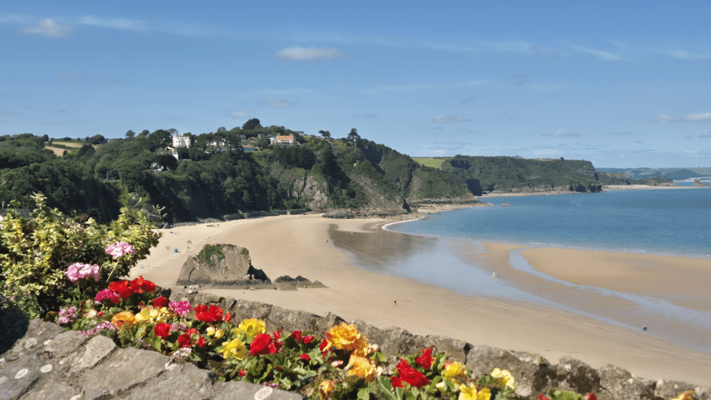 photo of a beach with flowers in the foreground